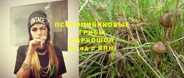 бошки Аркадак