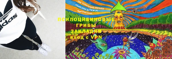 бошки Аркадак