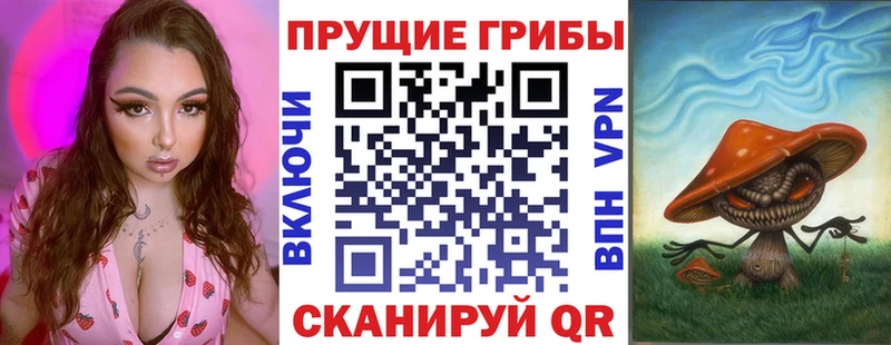 ссылка на мегу зеркало Слободской Галлюциногенные грибы Psilocybe